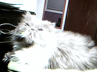 Picture2.jpg
