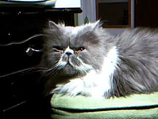 Picture3.jpg