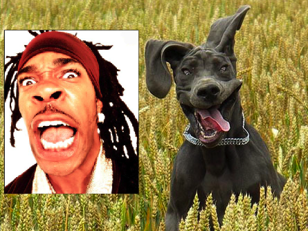picture9.png