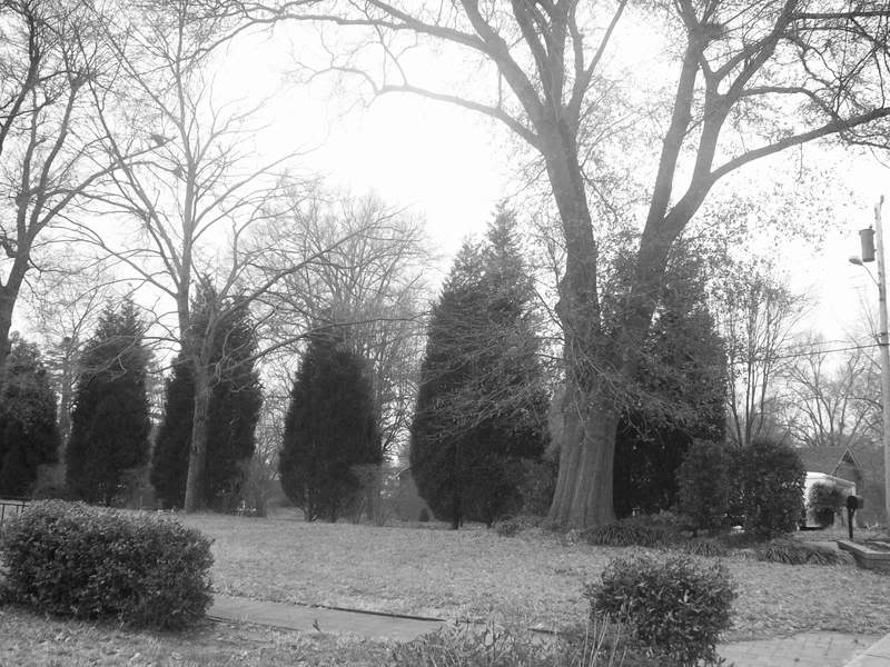 Pictures189.jpg