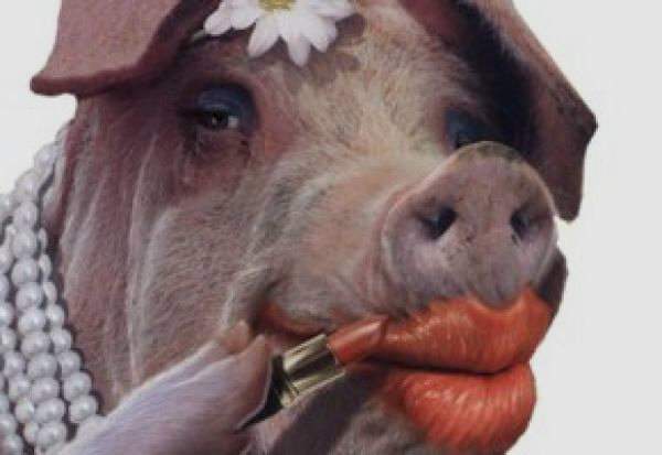 pig-lipstick.jpg