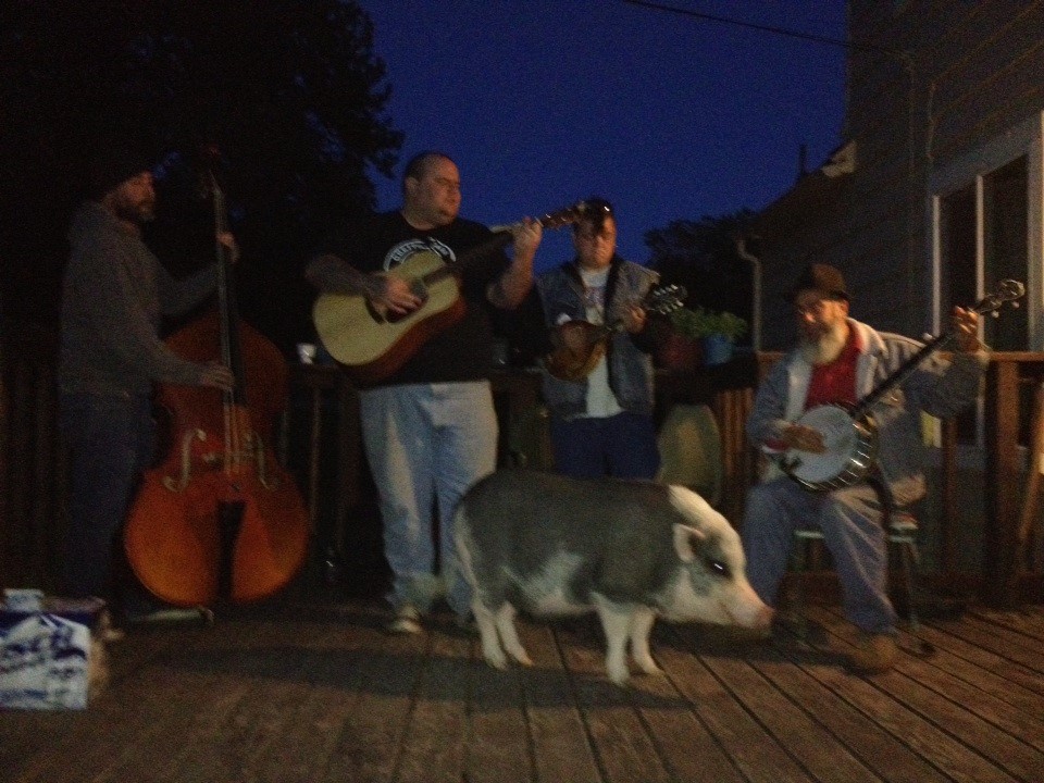 pig_zpsb06e024f.jpg
