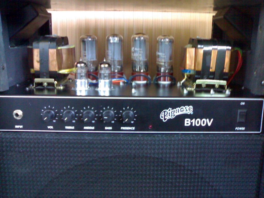 pignose-b100v-238613.jpg
