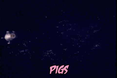 pigsinspace.gif