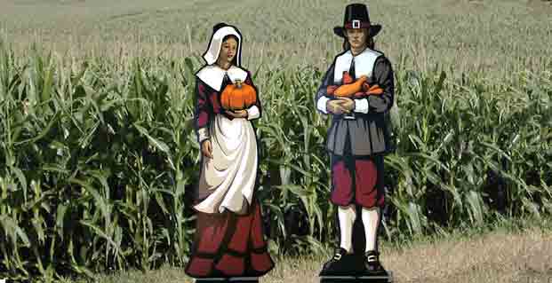 pilgrim-cornfield.jpg