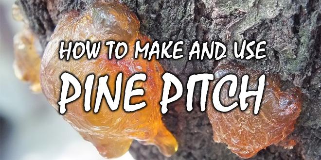 pine-pitch-logo-2.jpg
