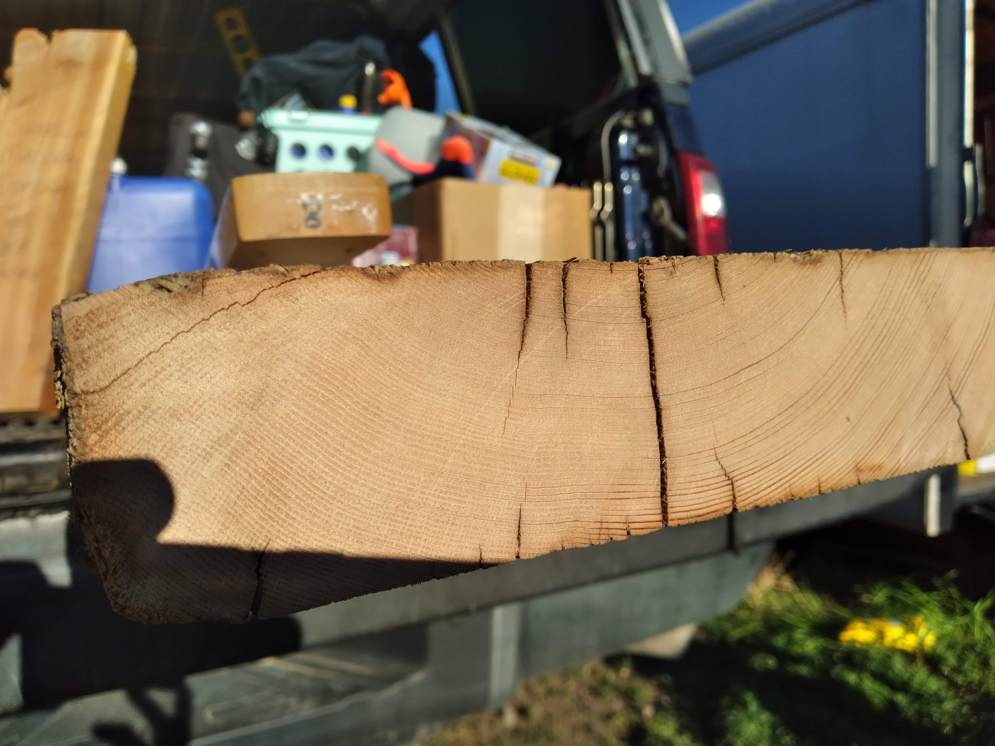PineGrain.jpg