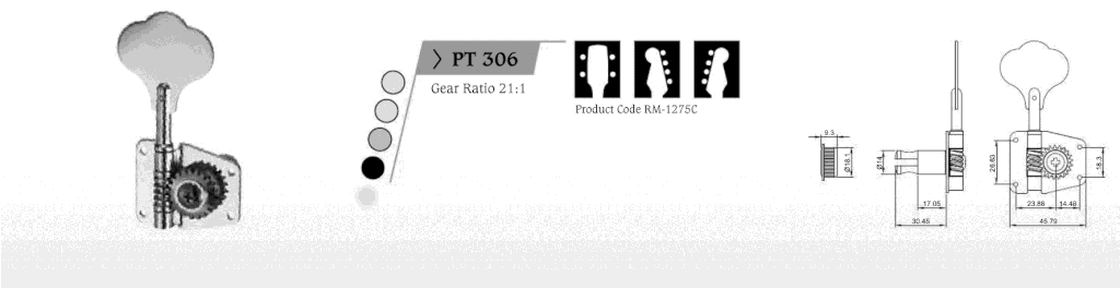 ping_pt306.gif