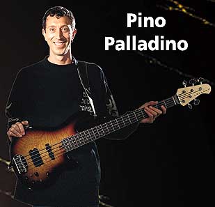 pino.jpg