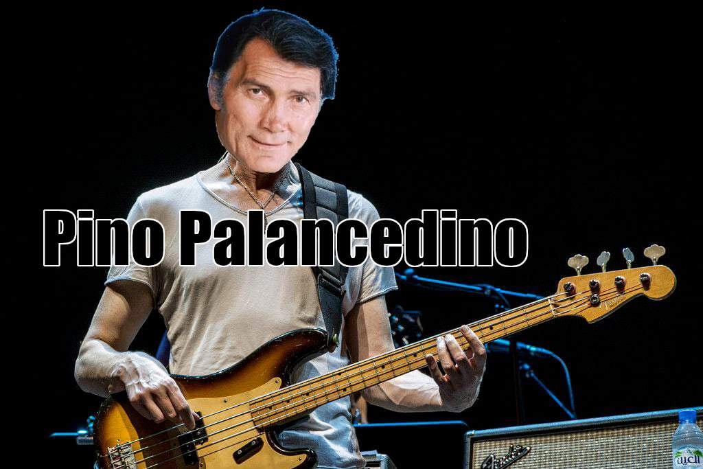 pino-palancedino.jpeg