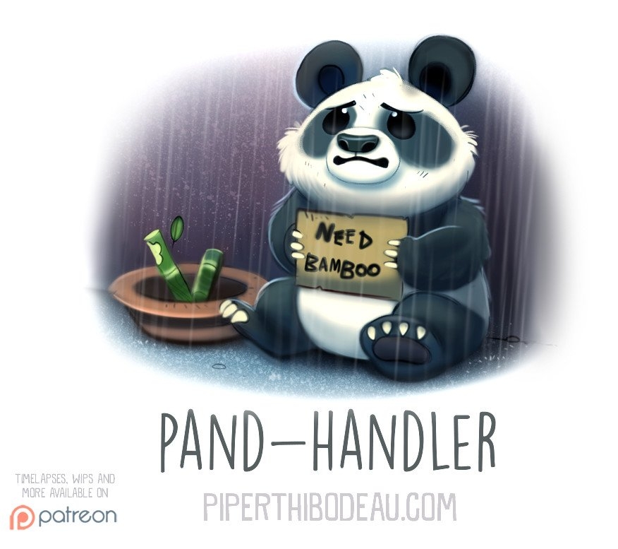 piper-thibodeau-dp1553-l.jpg