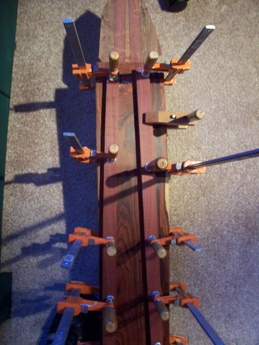 pipp039.jpg