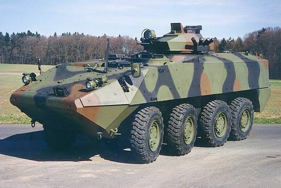 Piranha_11.jpg