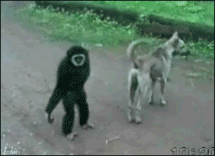 pissUoff.gif