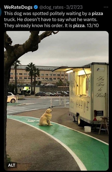 pizza dog.jpg