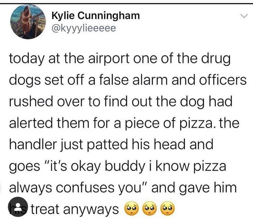 pizza sniffer.jpg