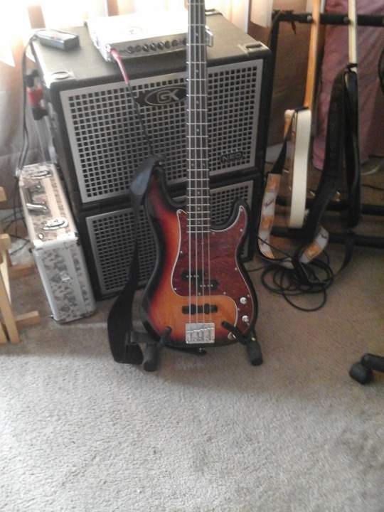 PJ-wpickguard.jpg