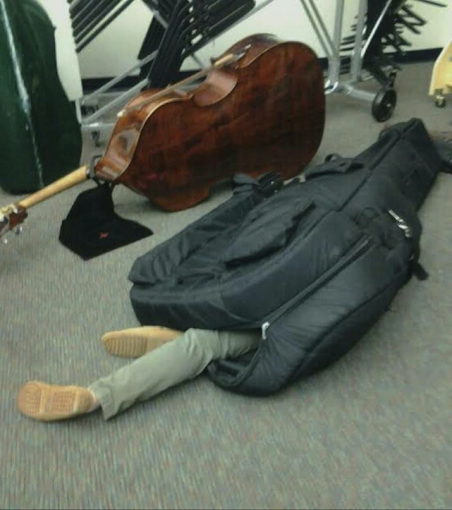 pj7zzj5.png