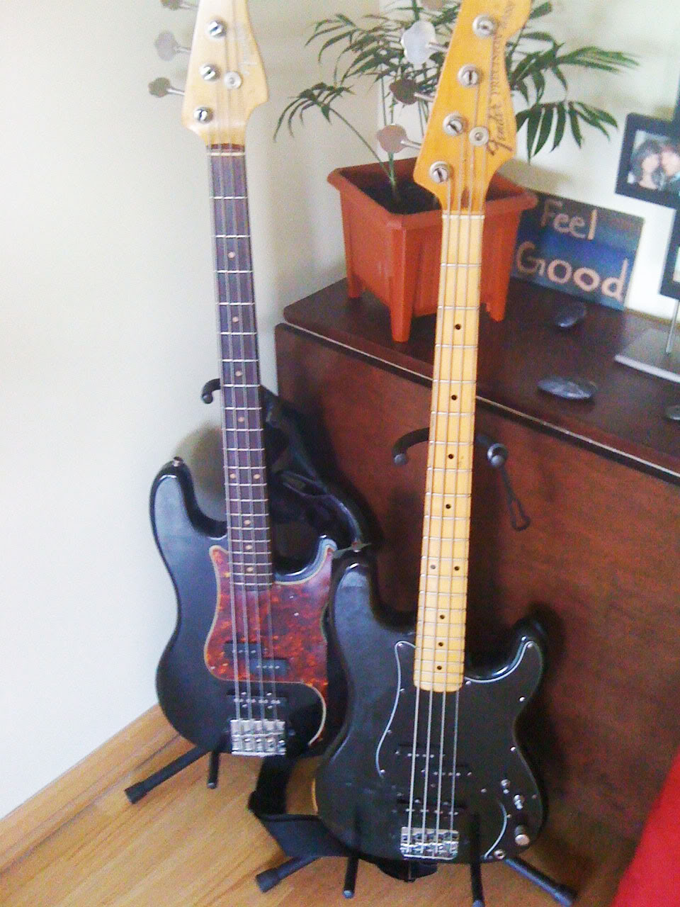 PJbasses.jpg
