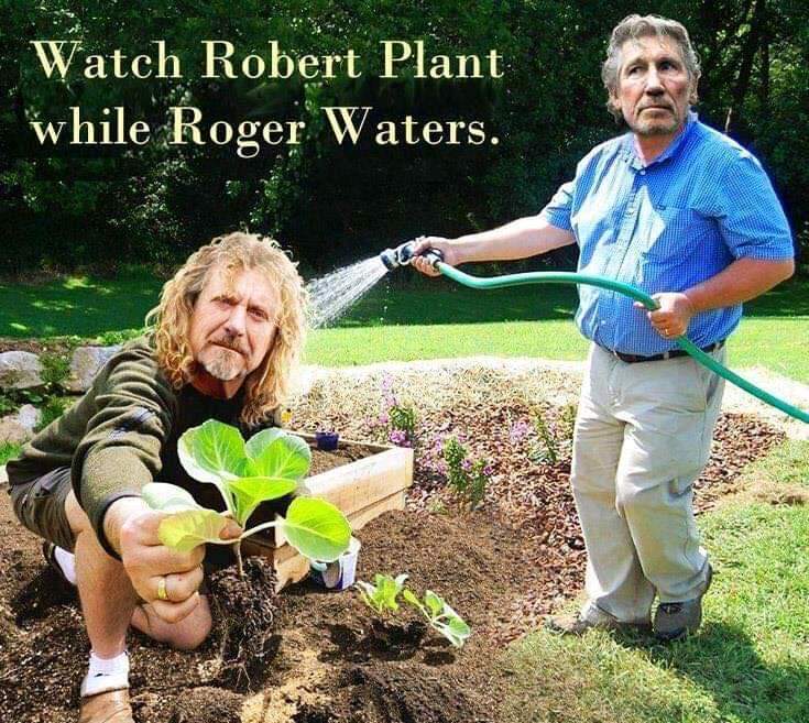 Plant & Waters .jpg