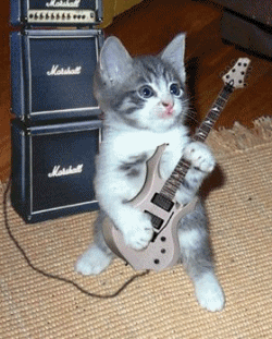 playing-the-guitar.gif