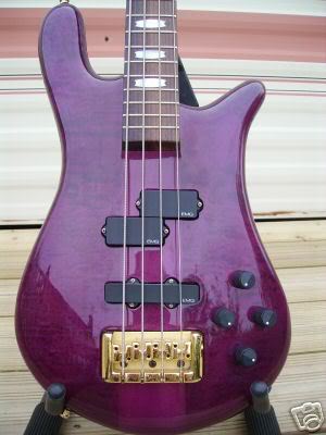 PlumSpector1.jpg