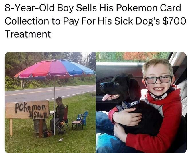 pokemon dog.jpg