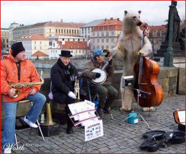 Polar bear jam.jpg