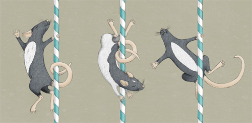 pole-rats.jpg