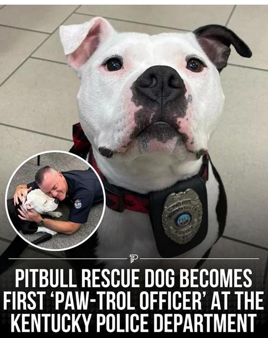 police dog.jpg