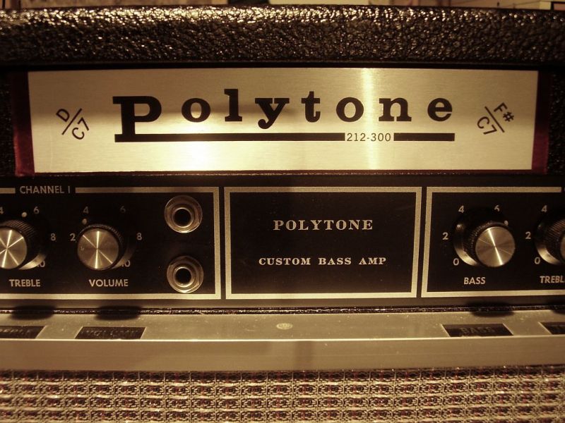 Polytoneveryclose.jpg