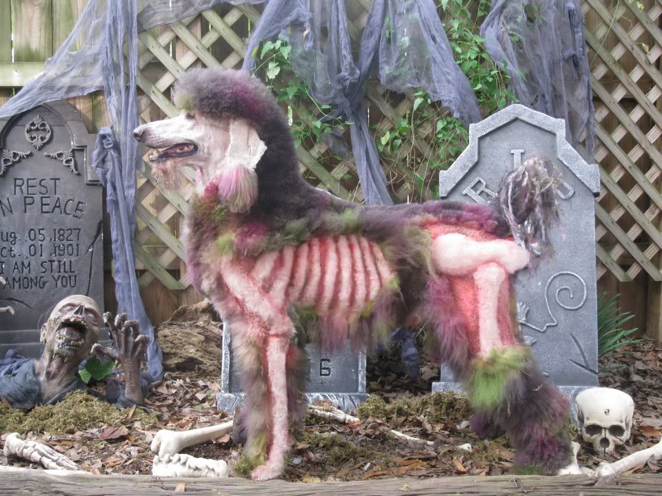 poodlezombie.jpg