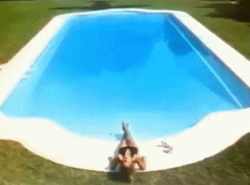 pool-plane-no5-win (anim).gif