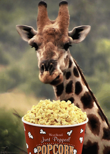 PopcornGiraffe_zps7ykvskqh.gif