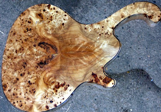 poplarburl-roya.jpg