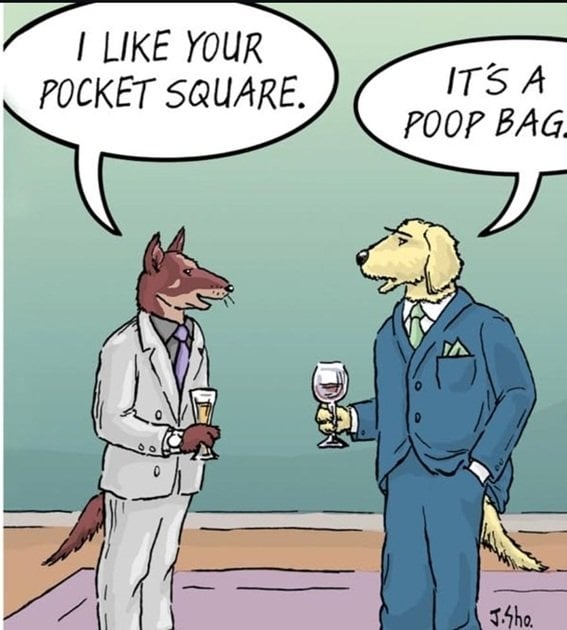 popp bag.jpg