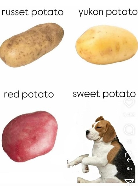 potato dog.jpg