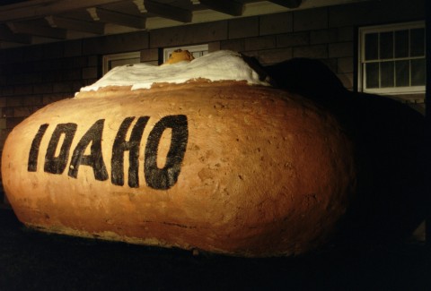 potatoSubheader.jpg