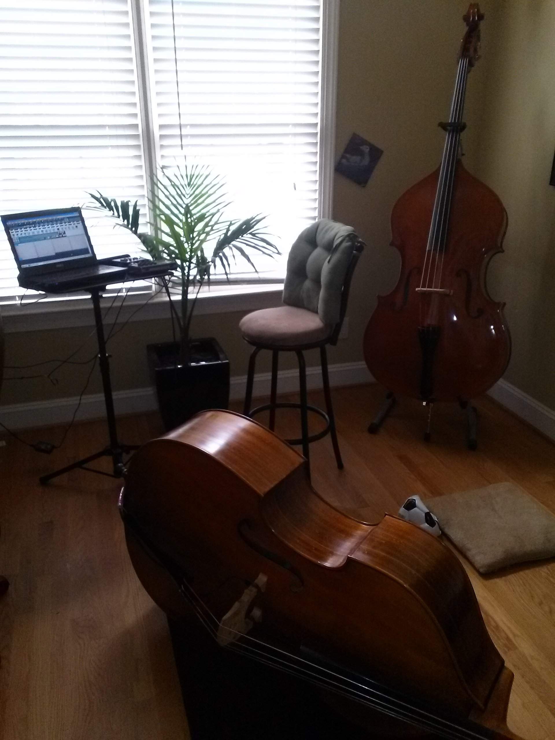 Practice Rig and Bass.jpg