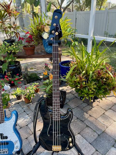 Precision Bass Guitars 20211231 - 1.jpeg