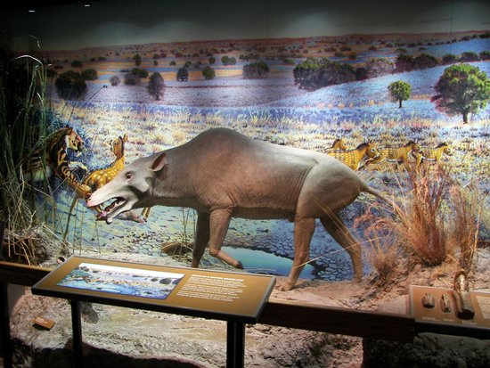 prehistoric-dog.jpg