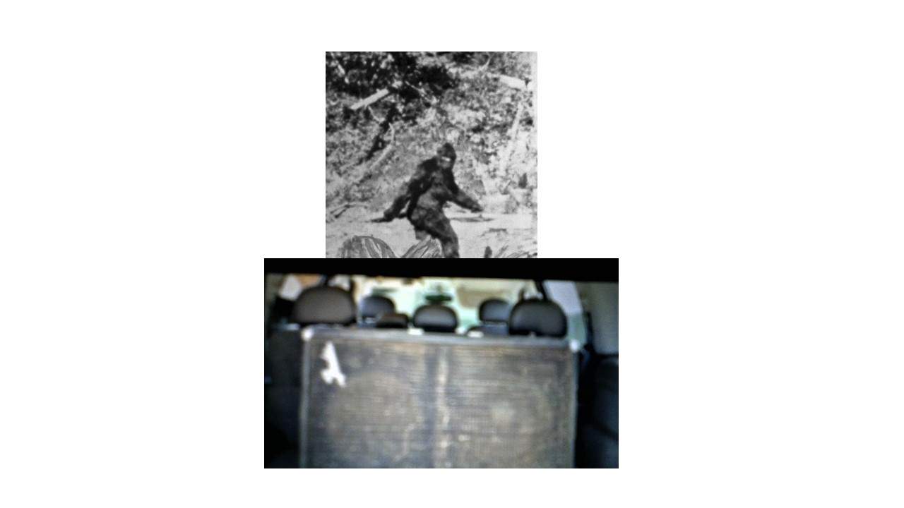 Presentation1.jpg