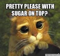 Pretty Please with sugar on top -kitty.jpg