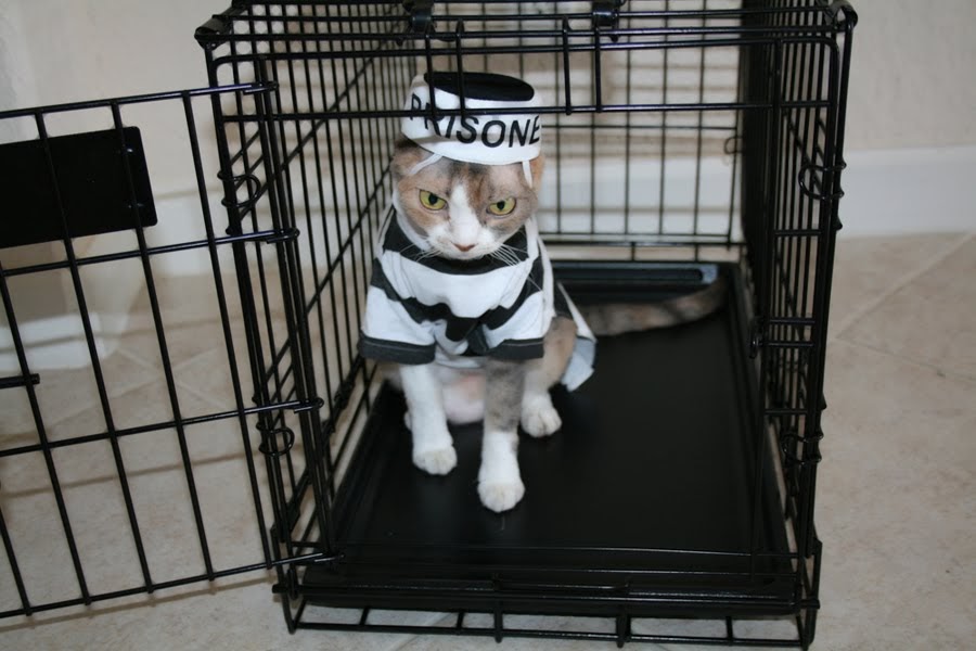 Prisoner1.jpg