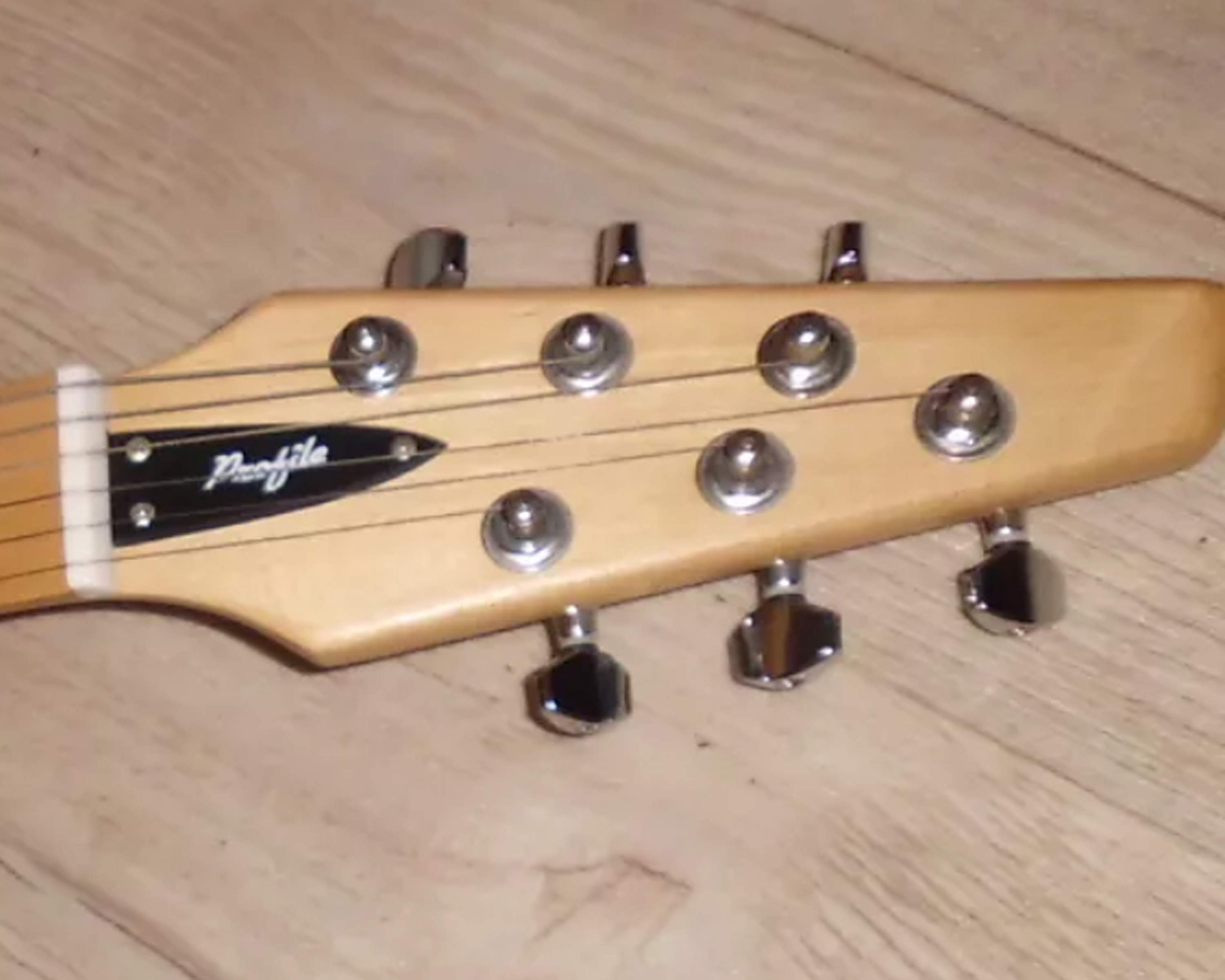 profile professional headstock.JPG