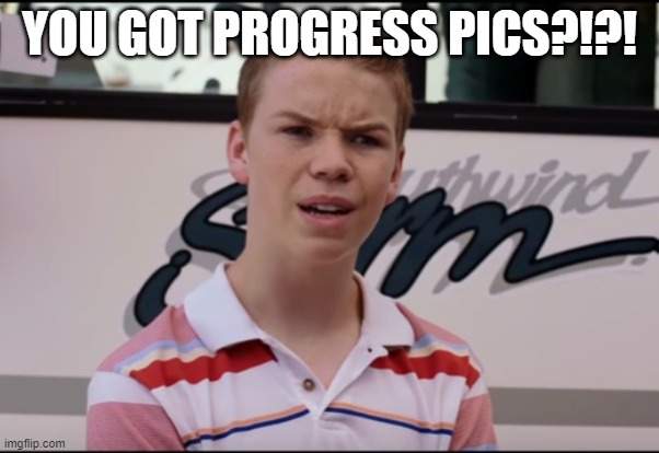progress pics.jpg