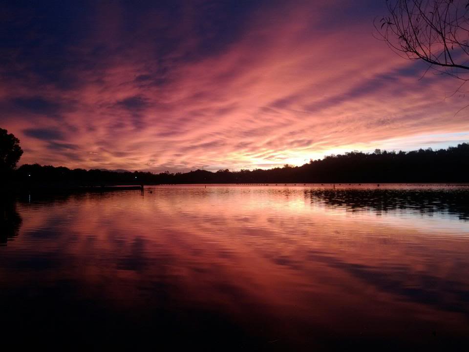 Puddsunrise.jpg