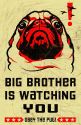 pug_bigbrother_small.jpg