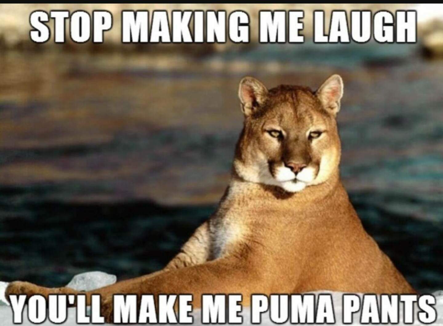 Puma Pants.jpg
