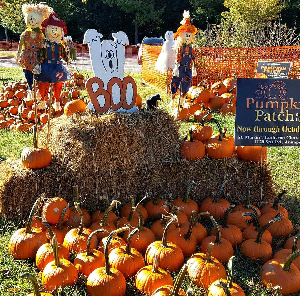 Pumpkin-2018-1.jpg